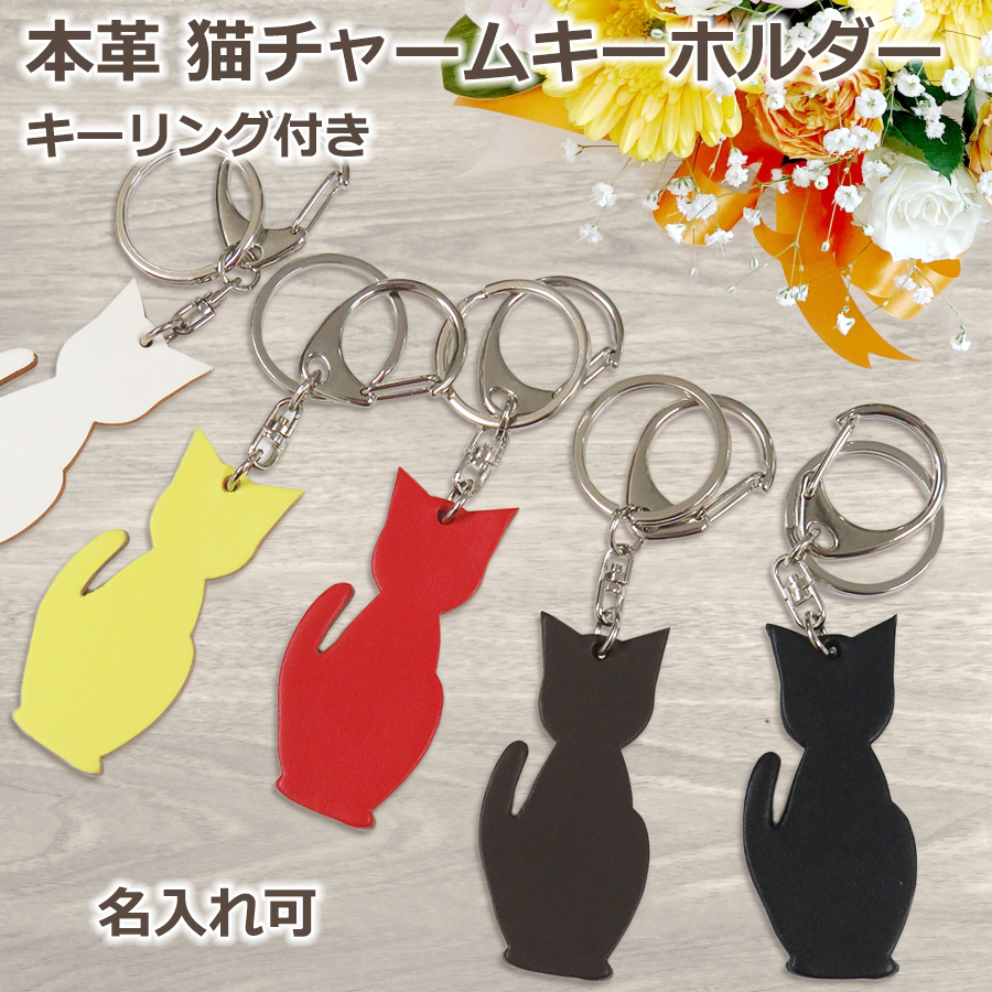 �L�`���[���L�[�z���_�[